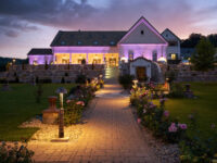 Landscape Lighting